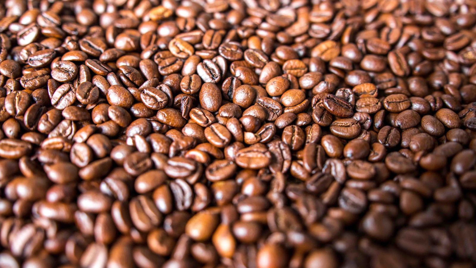 Macro shot of roasted coffee beans representing Alto Roble Honey Tarrazu