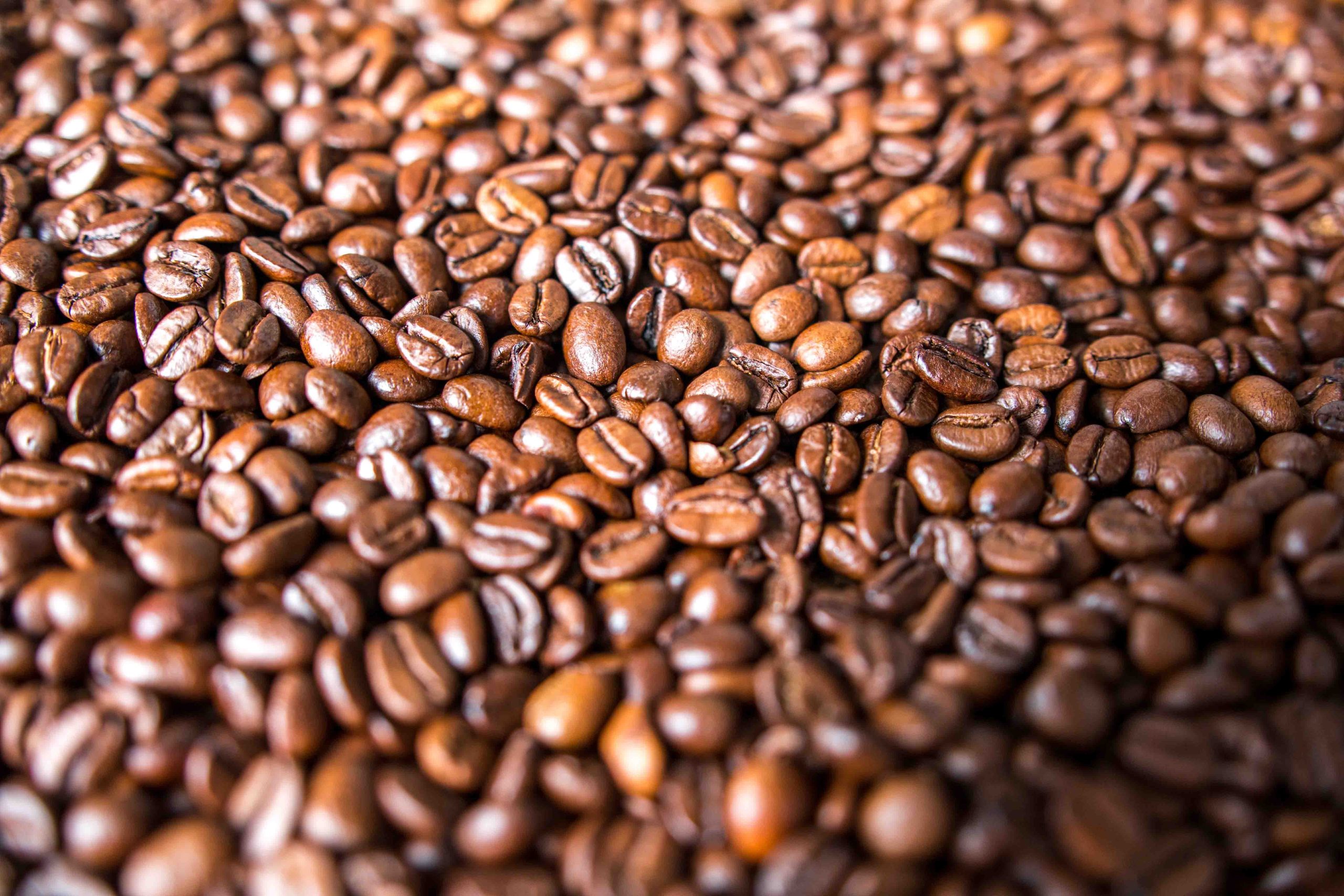 Macro shot of roasted coffee beans representing Alto Roble Honey Tarrazu