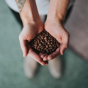 Hands holding roasted coffee beans, showing surface oils and texture, representing El Mirador Pink Bourbon