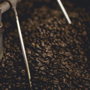 Dark roasted coffee beans in a roasting drum, representing Gunung Kerinci Wet-Hulled