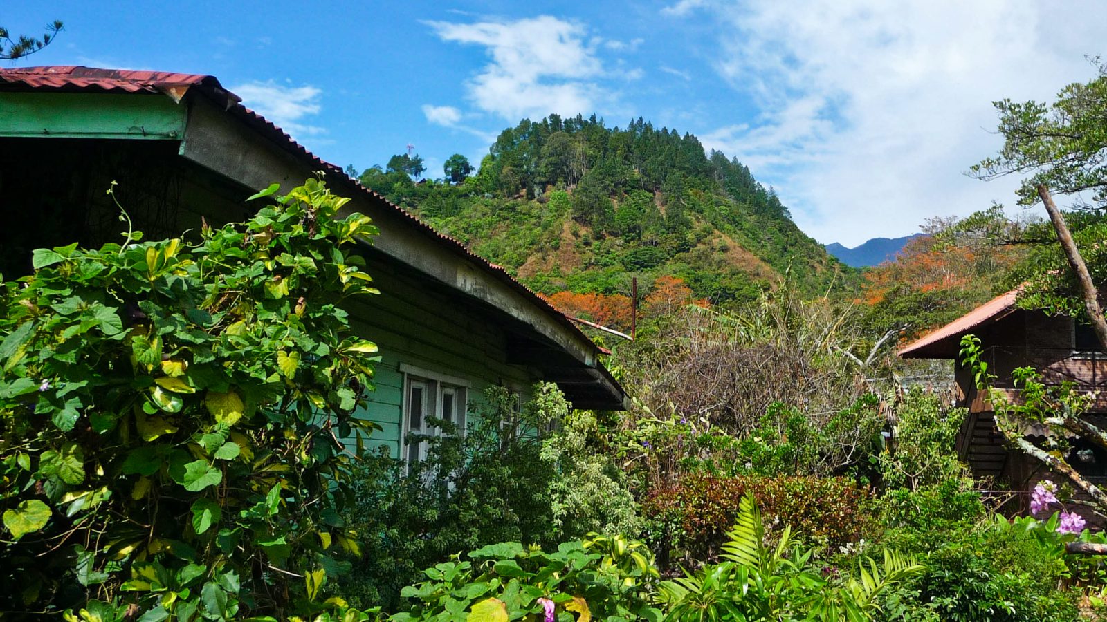 Highland coffee-growing countryside near Boquete, Panama, home to Los Cristales Geisha