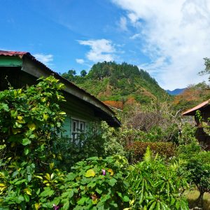 Highland coffee-growing countryside near Boquete, Panama, home to Los Cristales Geisha