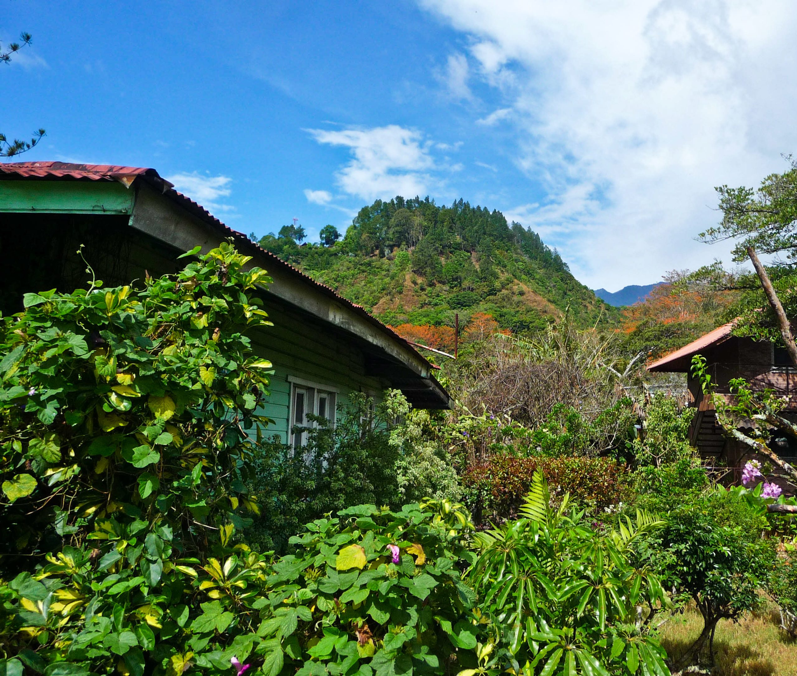 Highland coffee-growing countryside near Boquete, Panama, home to Los Cristales Geisha
